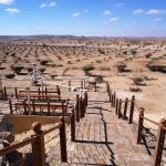 The Land of Frankincense